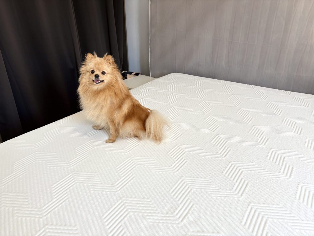 Hond zit midden op het Emma Original Pro matras in de slaapkamer