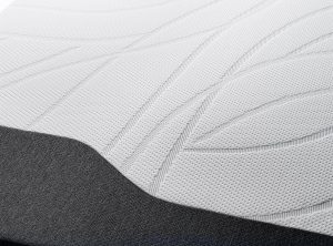TEMPUR Form Original